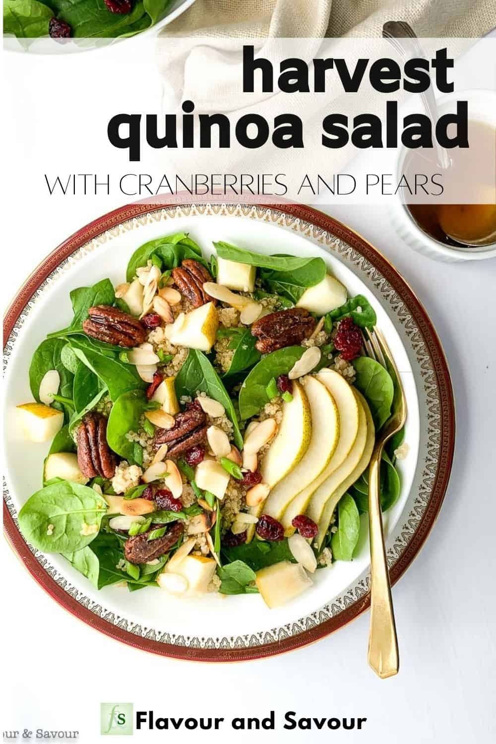 Harvest Quinoa Salad with Cranberries and Pears - Flavour and Savour