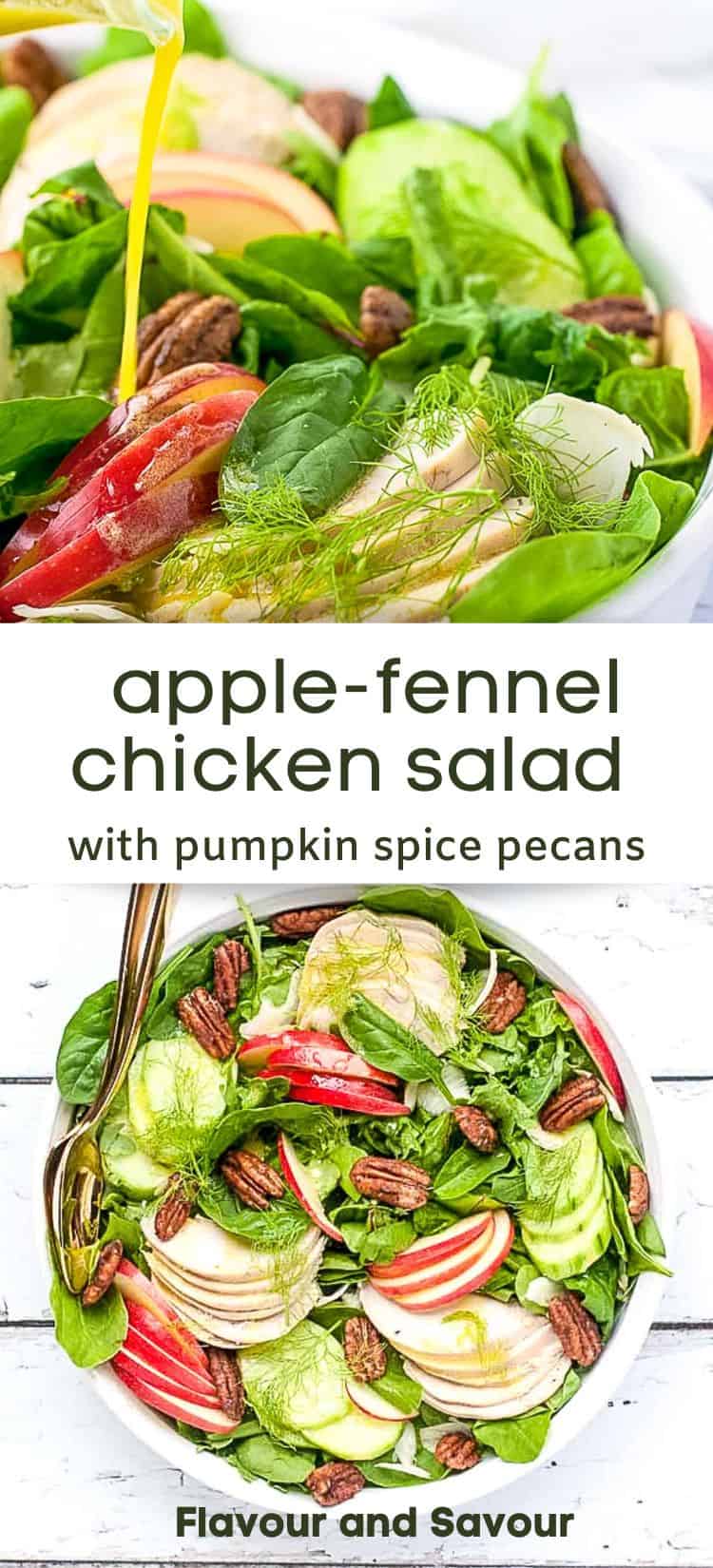 Fennel Apple Chicken Salad with Pumpkin Spice Pecans | Flavour and Savour