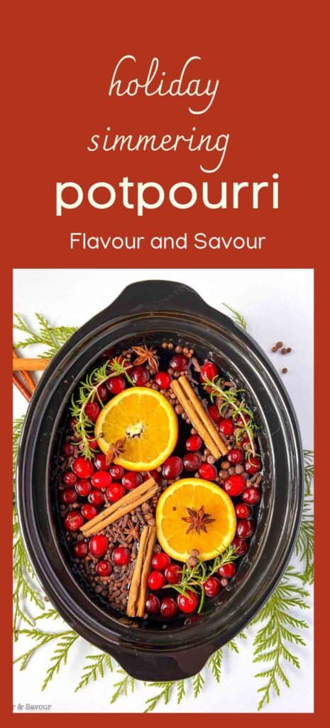 https://www.flavourandsavour.com/wp-content/uploads/2022/08/simmering-holiday-potpourri-pin-4-465x1024.jpeg